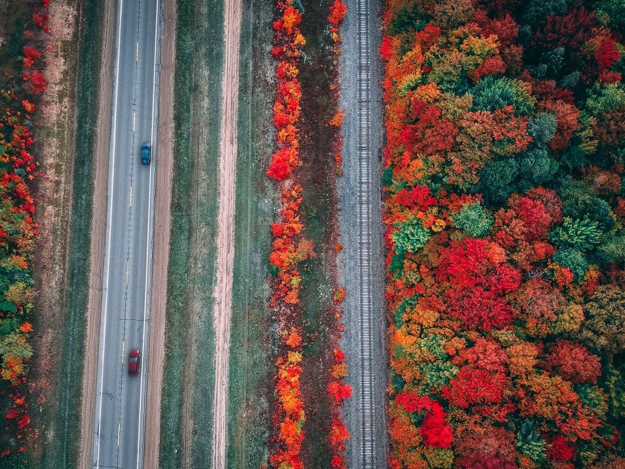 Autumn Driving
